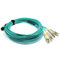 10 pi de MPO MTP de câble de correction de type de corde fibres de noyau de B 8 pour QSFP + émetteurs-récepteurs