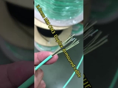 5M Multimode FC Cordon de fibre de patch PVC et LSZH 3.0 Diamètre câble en fibre simplex