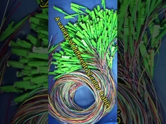 Résistant à l'usure, à 12 cœurs, à tubes lâches, en fibre de sc, à queue de porc de 0,9 mm