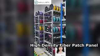 12 Core Fiber Optic Patch Panel Rack Mount Solution