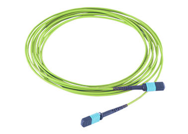 Câble MPO du tronc MPO MTP à la corde de correction optique de vert de chaux de fibre du noyau OM5 de MPO 12