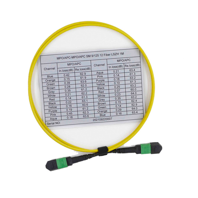 acheter Corde de correction à plusieurs modes de fonctionnement d'OS2 9/125 MPO MTP de fibre femelle du câble 12 online manufacture