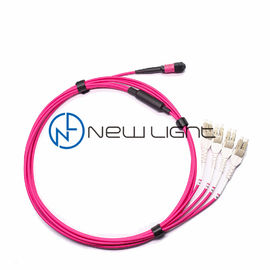 acheter Câble de correction du brin MTP de la transmission 12 d'OM4 100G online manufacture