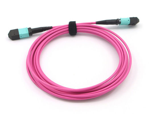 Cable MPO MTP 12 à fibre de base OM4 Magenta Cable MPO pour réseaux à grande vitesse
